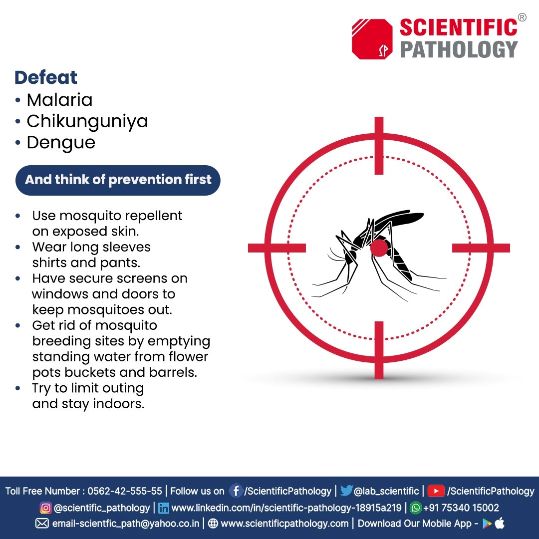 Too Late to Kill Mosquitos? Here’s How to Fight Dengue Fever!