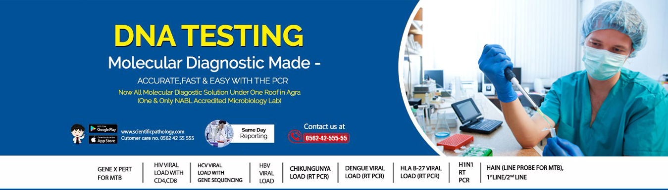 Best Pathology Lab Near In Agra Scientific Pathology